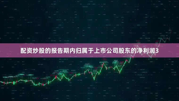 配资炒股的报告期内归属于上市公司股东的净利润3