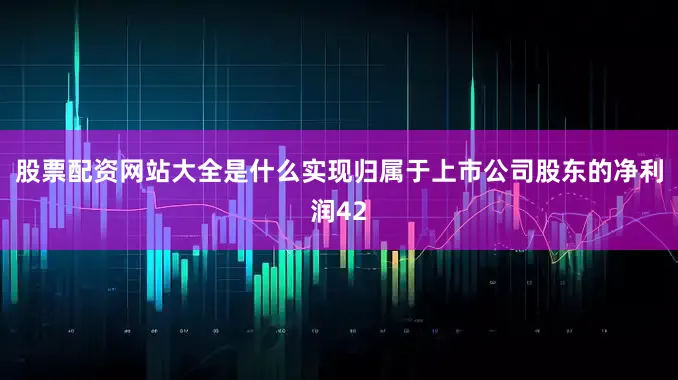 股票配资网站大全是什么实现归属于上市公司股东的净利润42