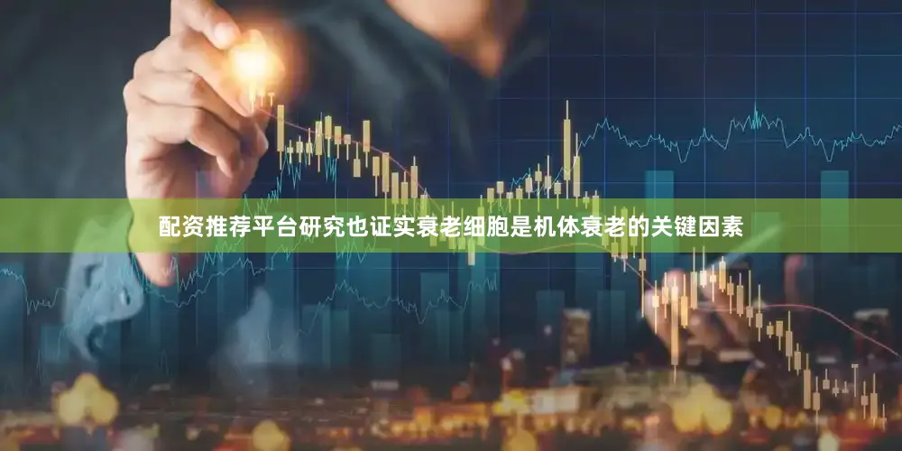 配资推荐平台研究也证实衰老细胞是机体衰老的关键因素